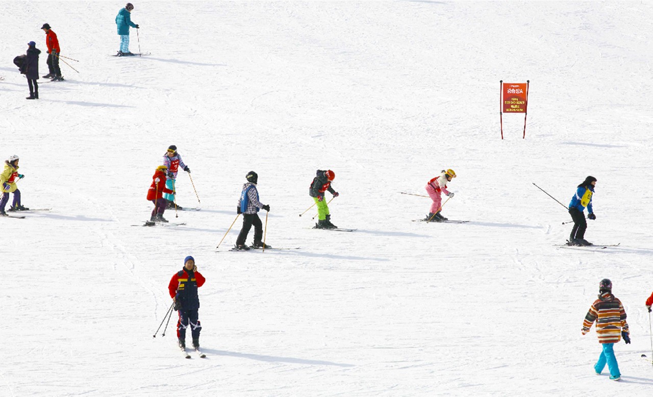 Elysian Ski Resort& Eobi Ice Valley Day Tour from Seoul