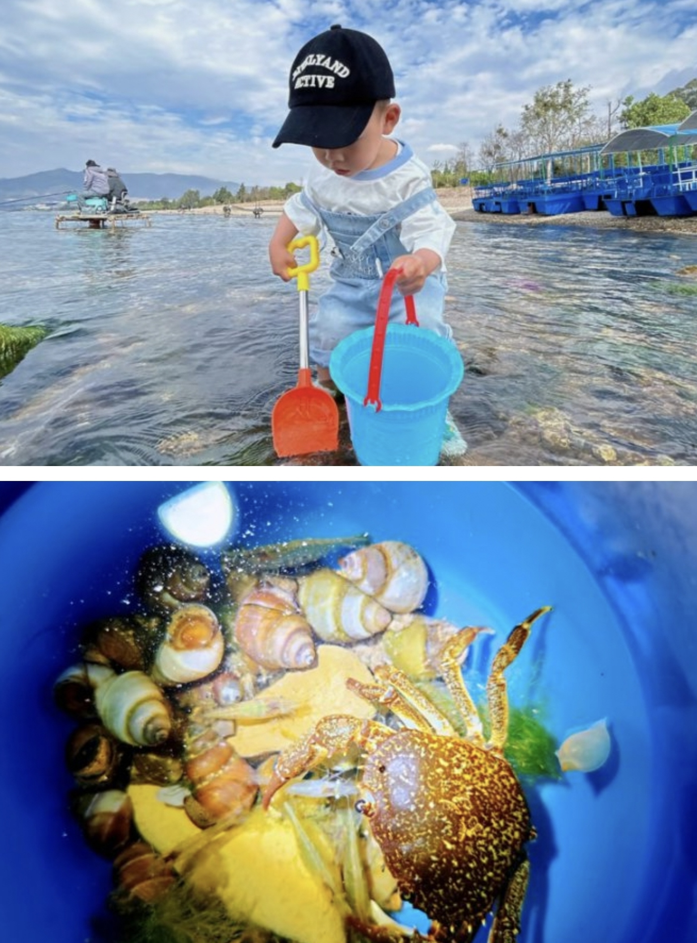雲南滇東南撫仙湖建水普者黑彌勒6日私家團（自然科普寒武紀+海洋生態奇遇記+非遺體驗+小舟水戰+米軌小火車+海豚灣親子+建水和院+美憬閣）