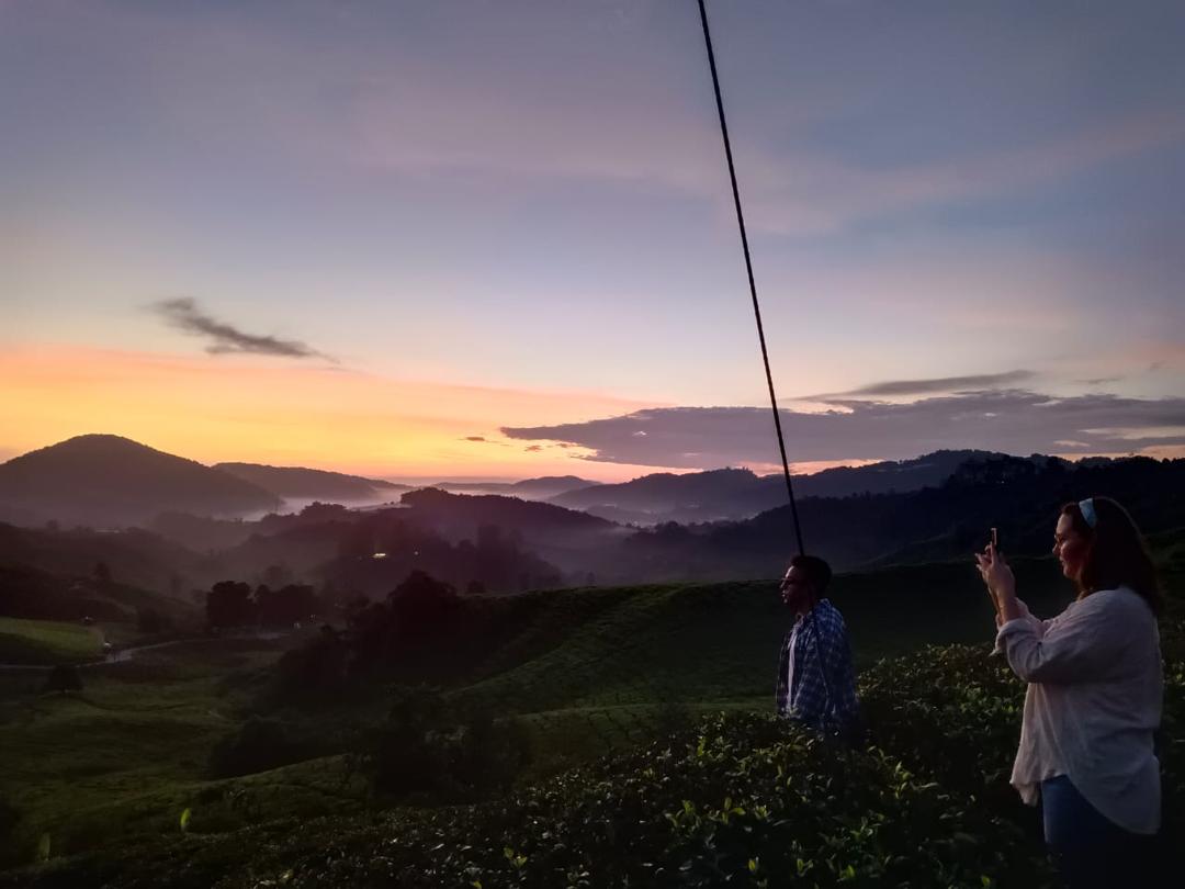 追逐晨曦：金馬倫高原日出和苔蘚森林之旅