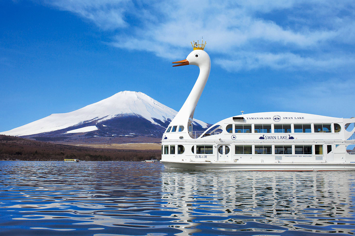 富士山山中湖單車騎行 河口湖纜車 抹茶體驗 網紅景點打卡二日遊｜4~9人精品小團｜東京/新宿出發