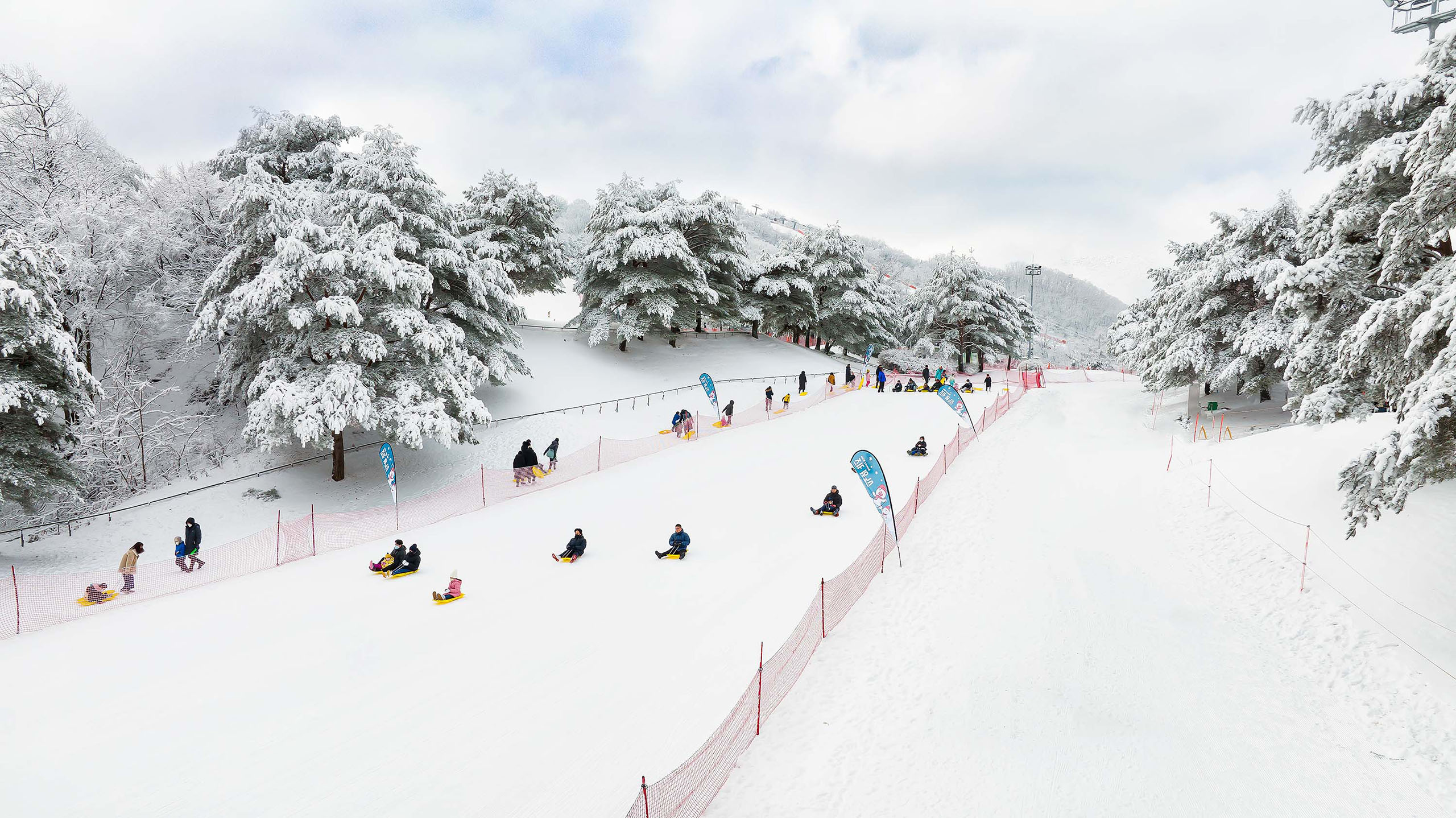 在冰雪樂園度過充滿樂趣的一天，盡情滑雪橇，沉浸在韓國冬季仙境的美景中。