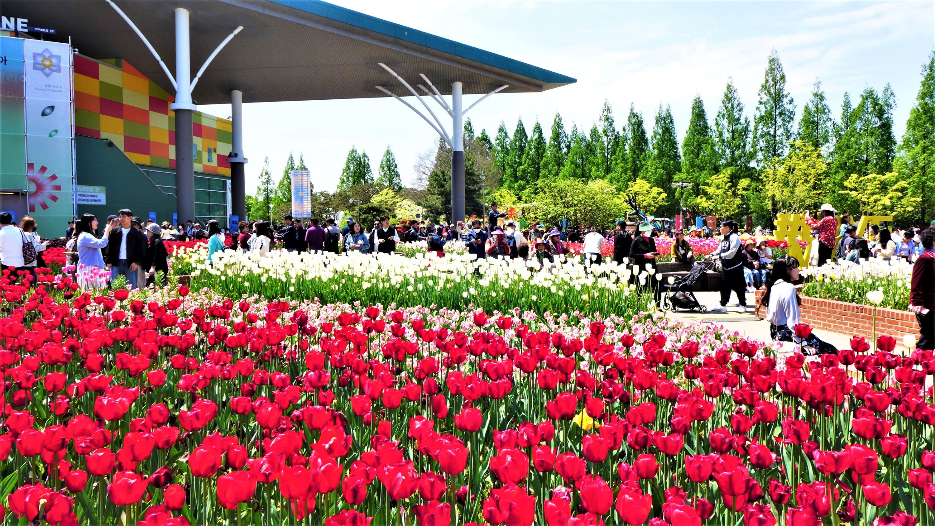 2025年一山國際花卉博覽會半日遊