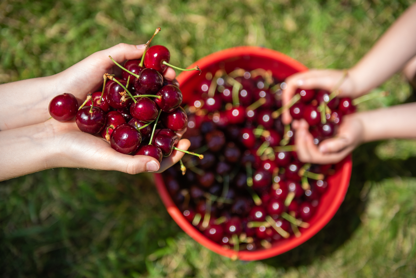 Cherry-Picking Wandin East