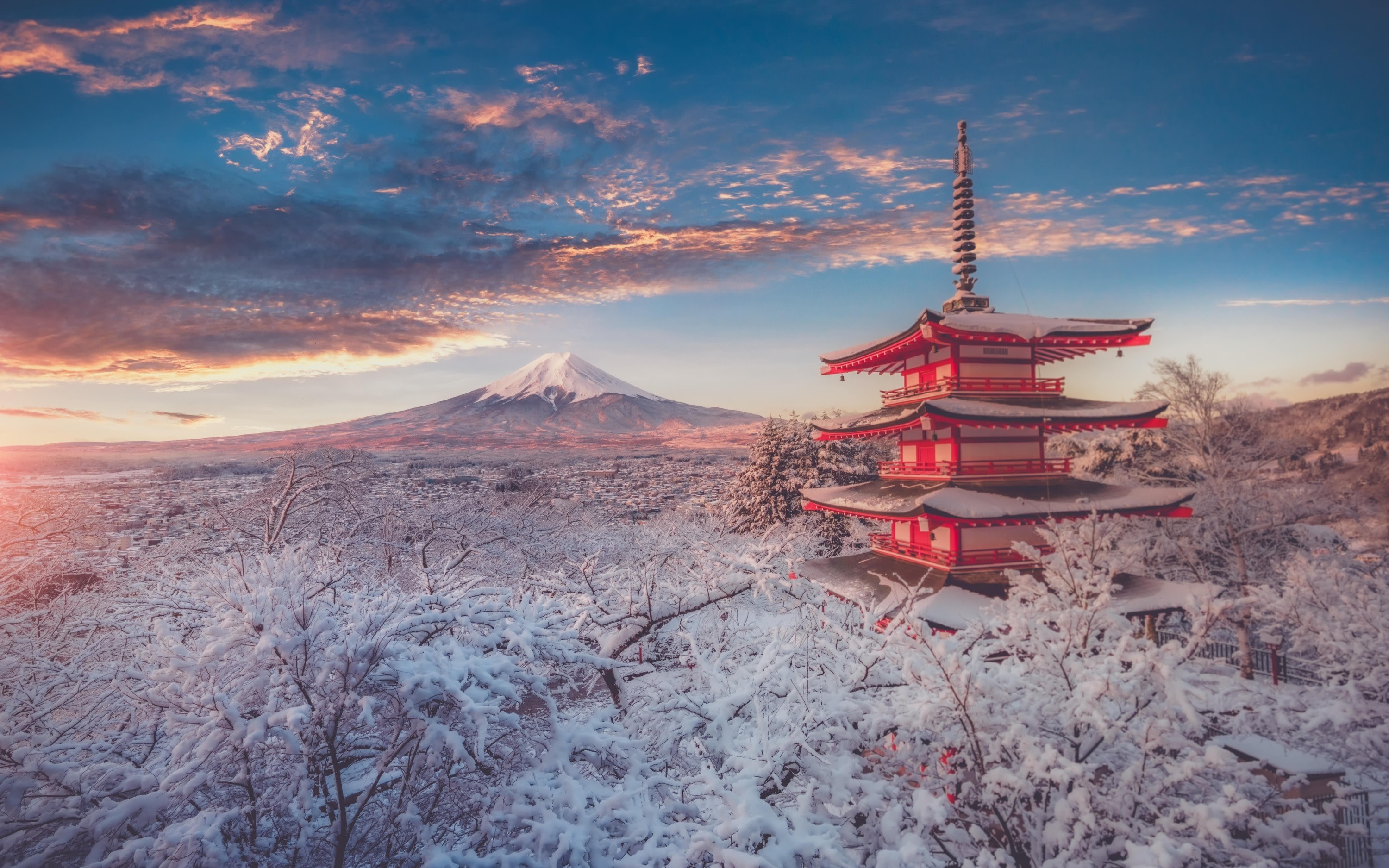 From Tokyo: Mount Fuji Full-Day Sightseeing Trip