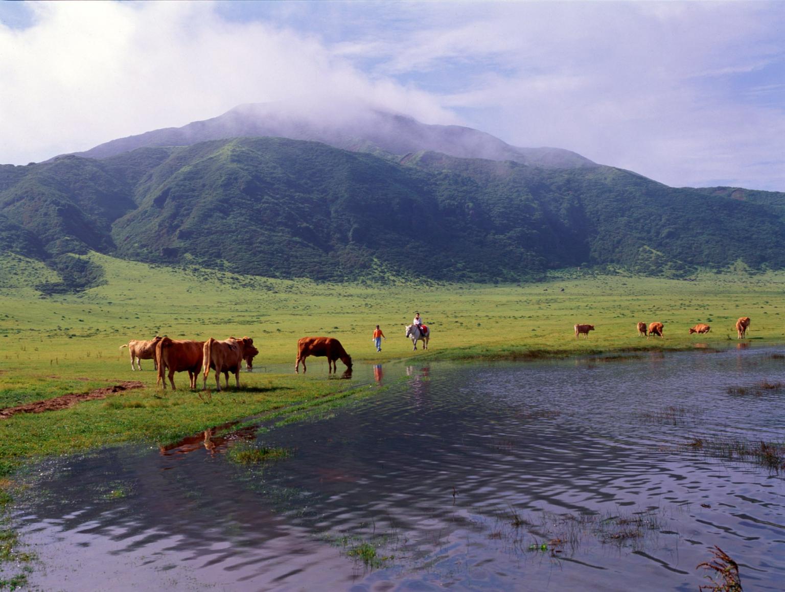 【人氣必選】九州熊本阿蘇一日行｜熊本城巡禮・阿蘇火山奇觀・草千里漫步・火山博物館打卡・阿蘇道路驛站｜福岡或熊本上車