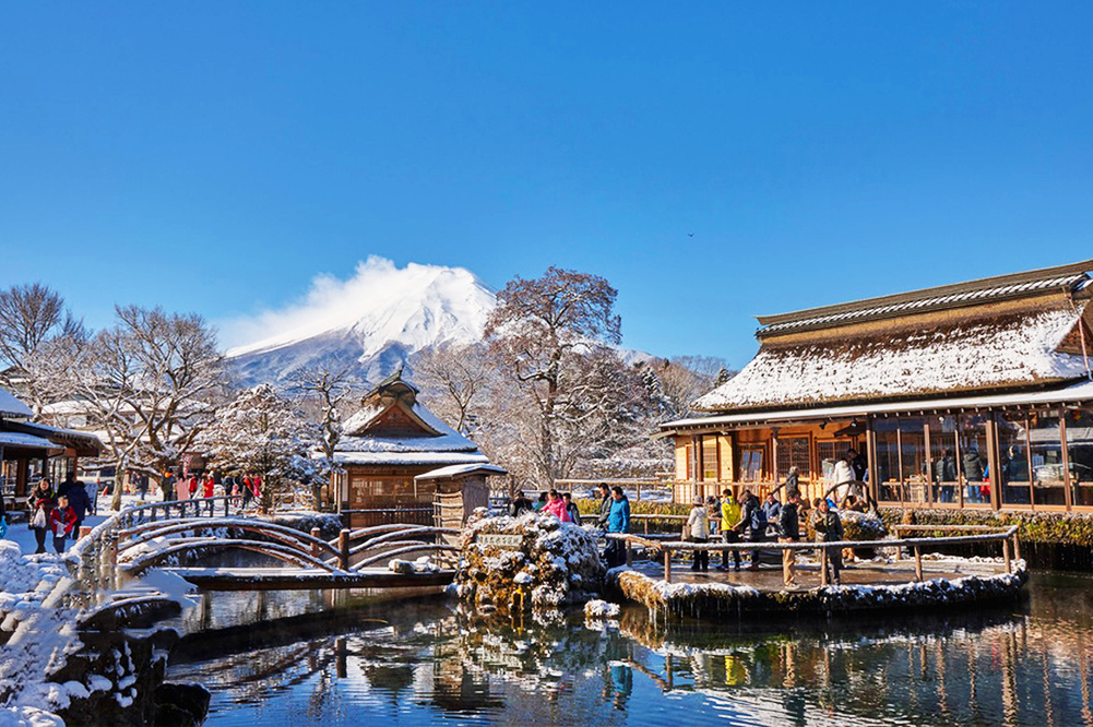 富士山網紅打卡景點&河口湖四季花卉探秘之旅（贈送日式草餅）｜東京/新宿出