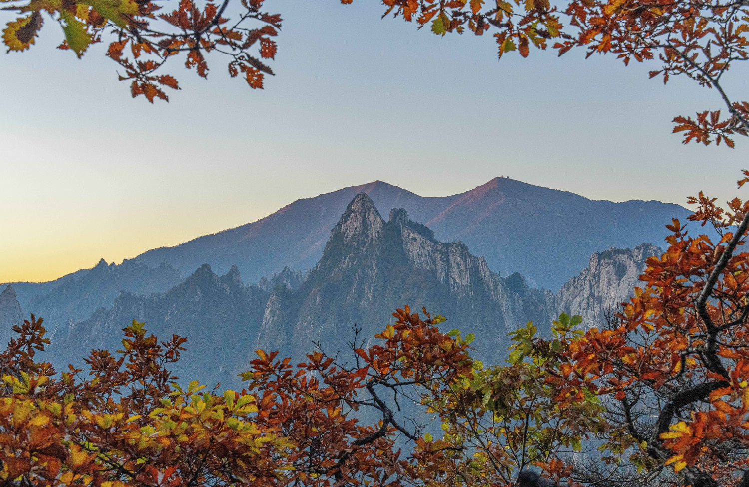 首爾雪嶽山 & Surfy海灘一日遊