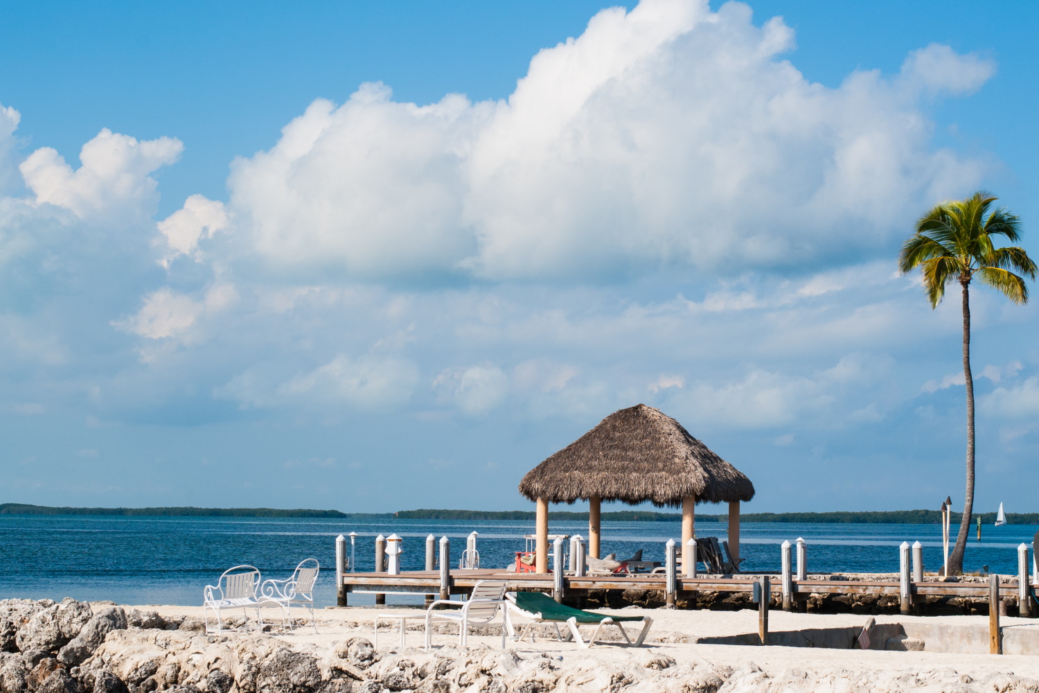 Experience Key Largo's aquatic adventures, from scuba diving to glass-bottom boat tours