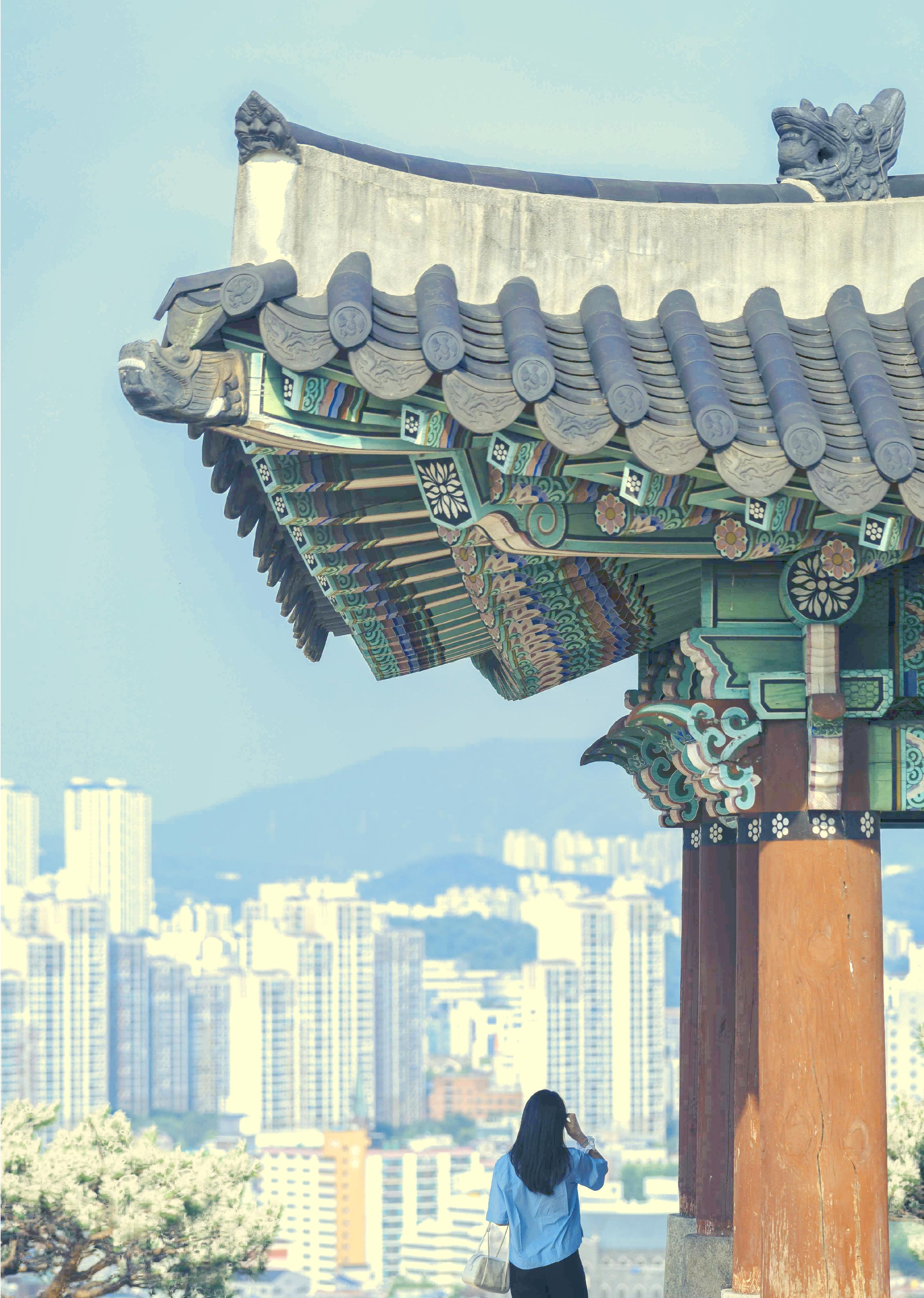 水原華城 & 季節性風景之旅（首爾出發）