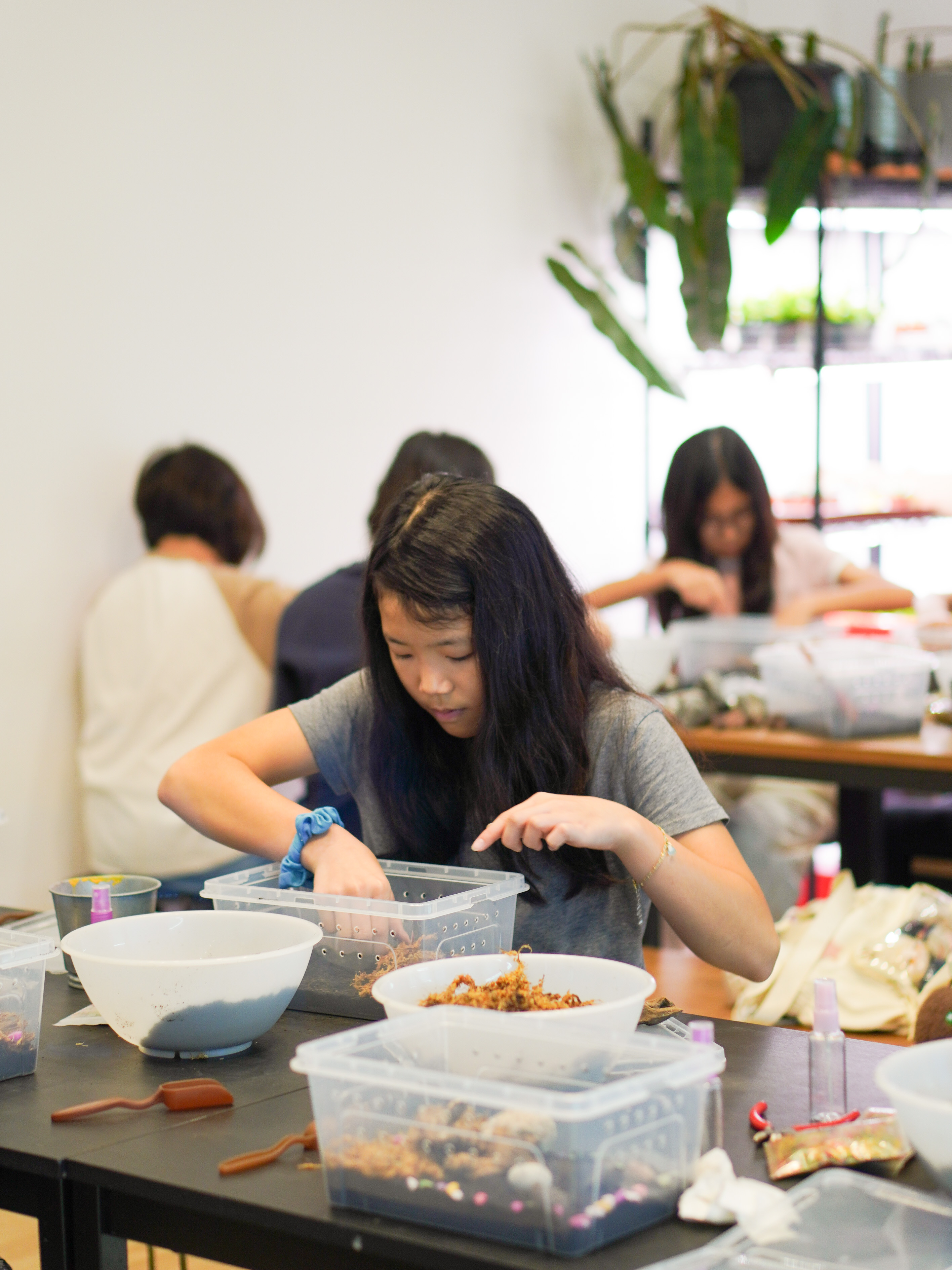 Create your own mini world