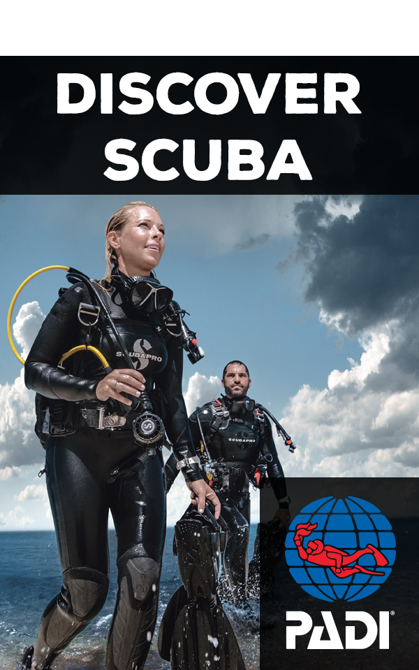 Miami Beach Awaits: Discover Scuba Diving with PADI 5* Dive Center