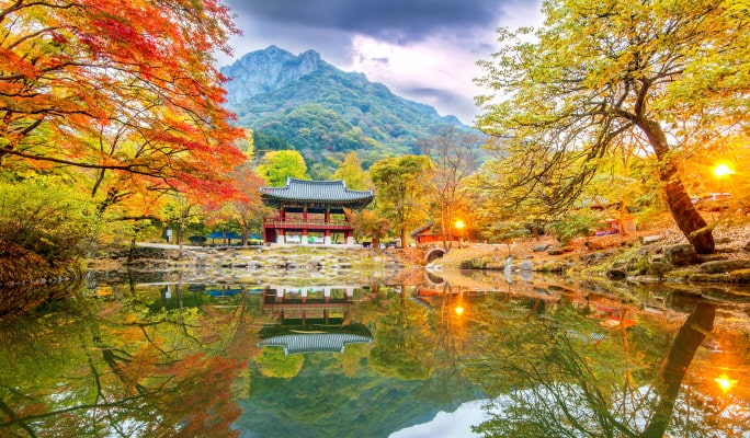 一年一度機會!千萬別錯過韓國第一賞楓勝地! 一年一度機會!千萬別錯過韓國第一賞楓勝地!