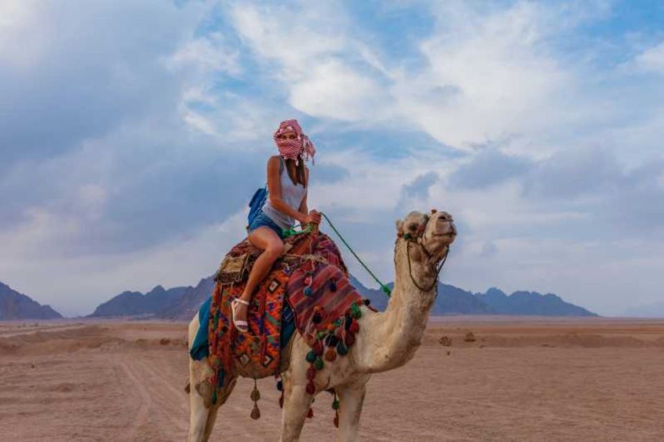 馬卡迪灣：全地形車越野之旅、貝都因村和騎駱駝