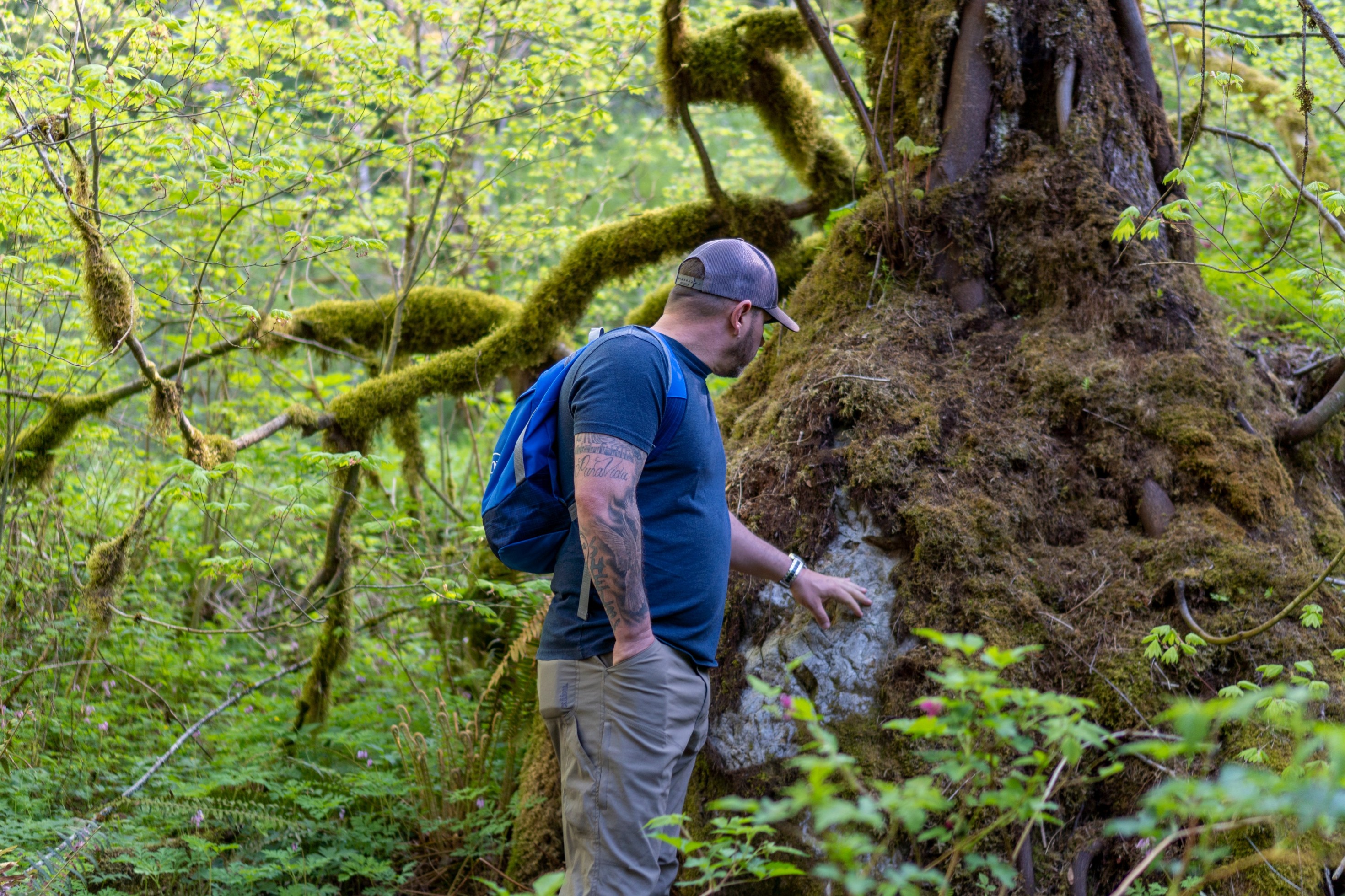 Exploring the scenic trailhead, leading to hidden waterfalls and lush rainforest views