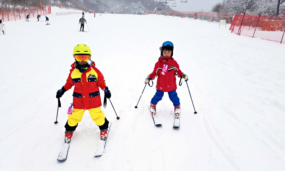 Shared Shuttle Bus Transfers Between Seoul and Alpensia/Yongpyong Ski Resort