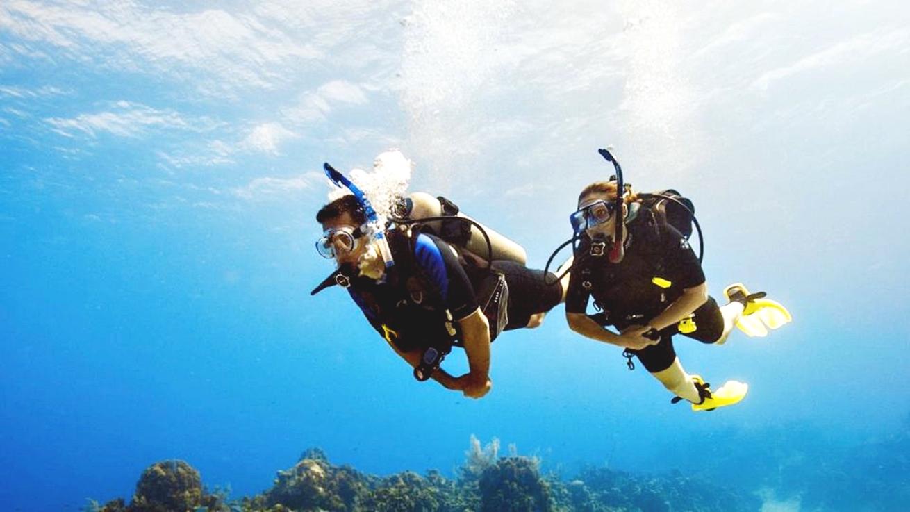 Sahl Hasheesh：潛水或浮潛游船之旅（含午餐）