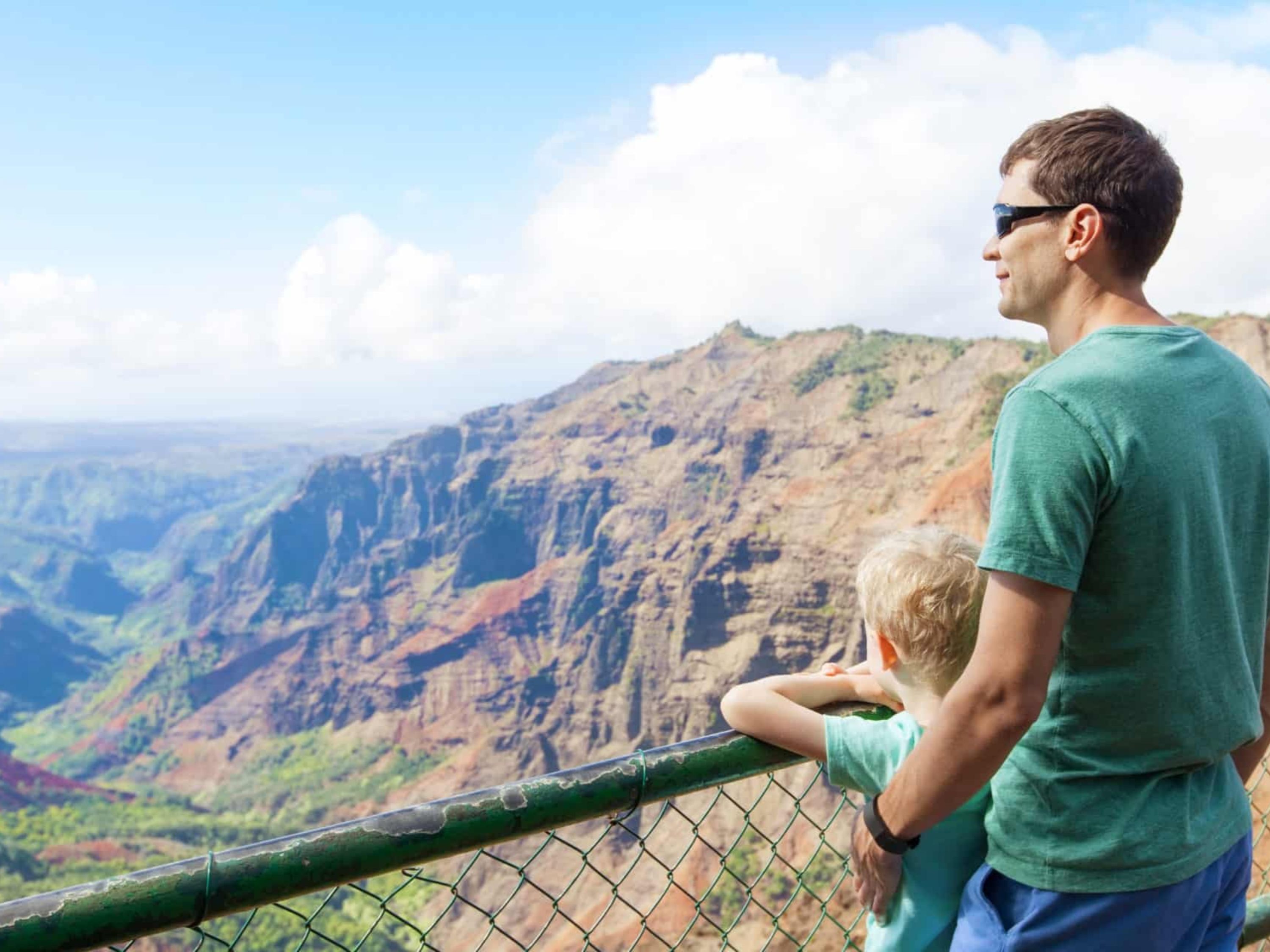 Waimea Canyon, Wailua River, and Fern Grotto Bus Tour in Kauai