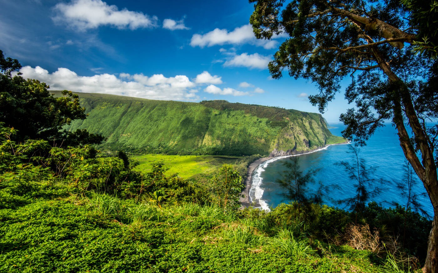 Waipio Valley Lookout & waterfalls day tour in Hawaii