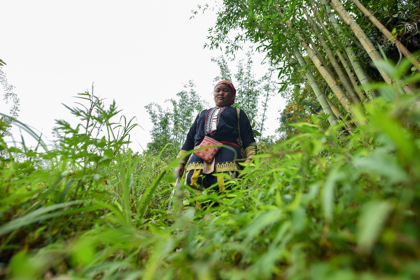 沙巴：紅瑤族草藥足浴和採葉之旅