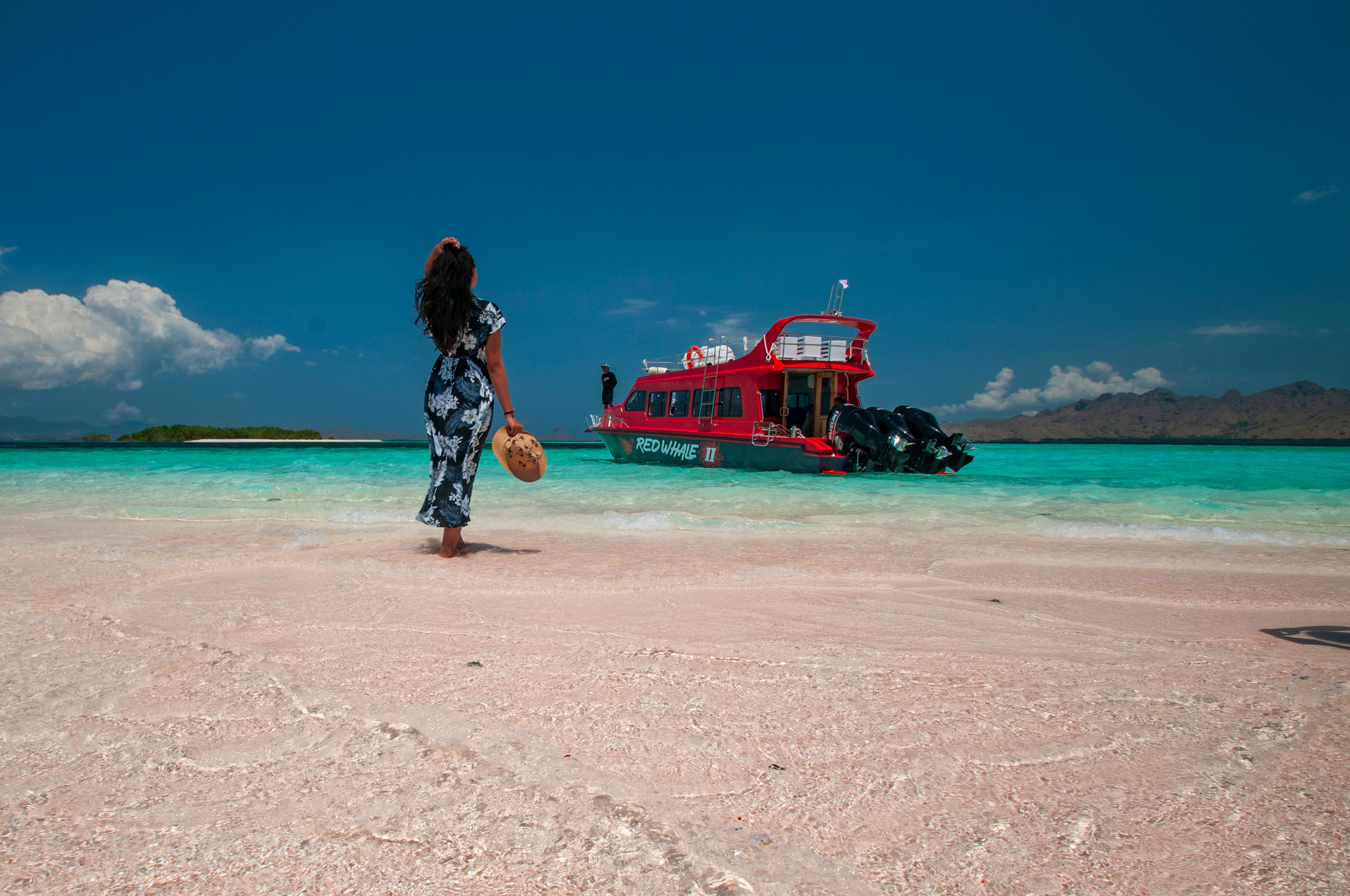 Red Whale Speedboat Full Day Tour from Labuan Bajo