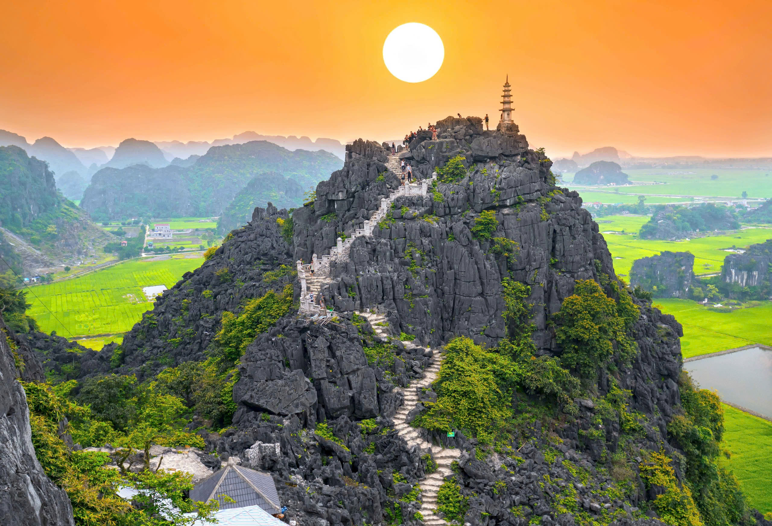 寧平豪華 D-Car 一日遊（河內出發）