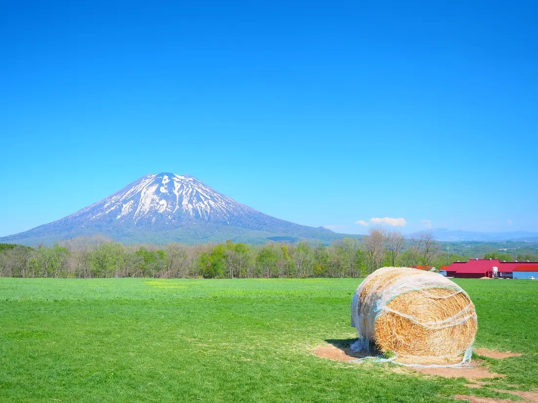 北海道新雪谷町拍照體驗