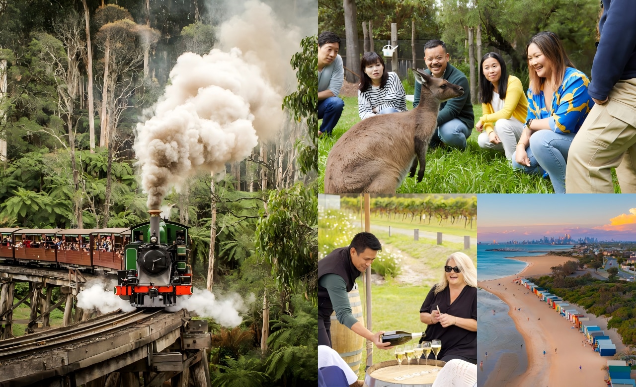 Melbourne Puffing Billy, Healesville, Winery &amp; Brighton Beach Tour
