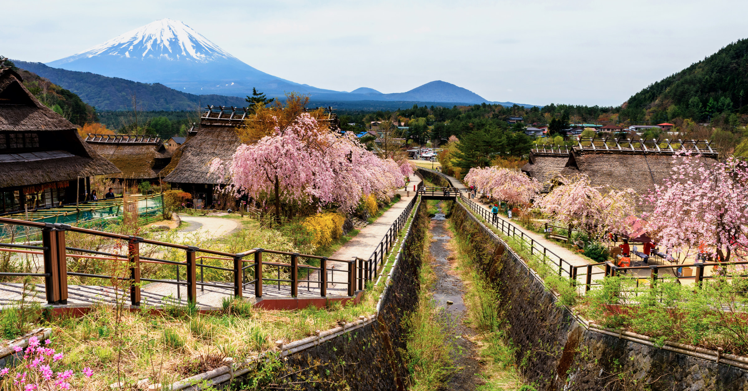 富士山私人定製一日遊（東京出發）