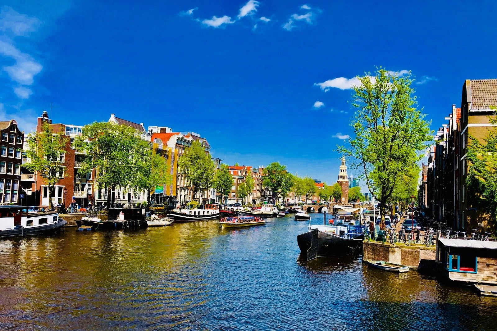 Amsterdam Small-Group Walking Tour