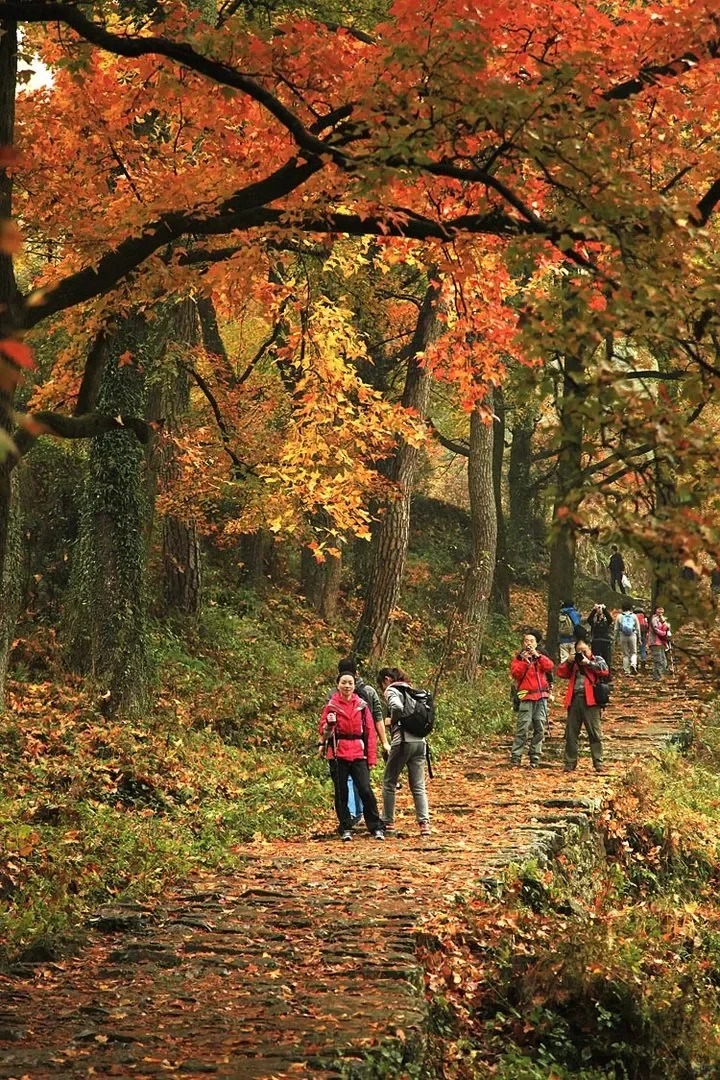 Classic One-Day Hike in the Ten Miles Langdang area of Hangzhou
