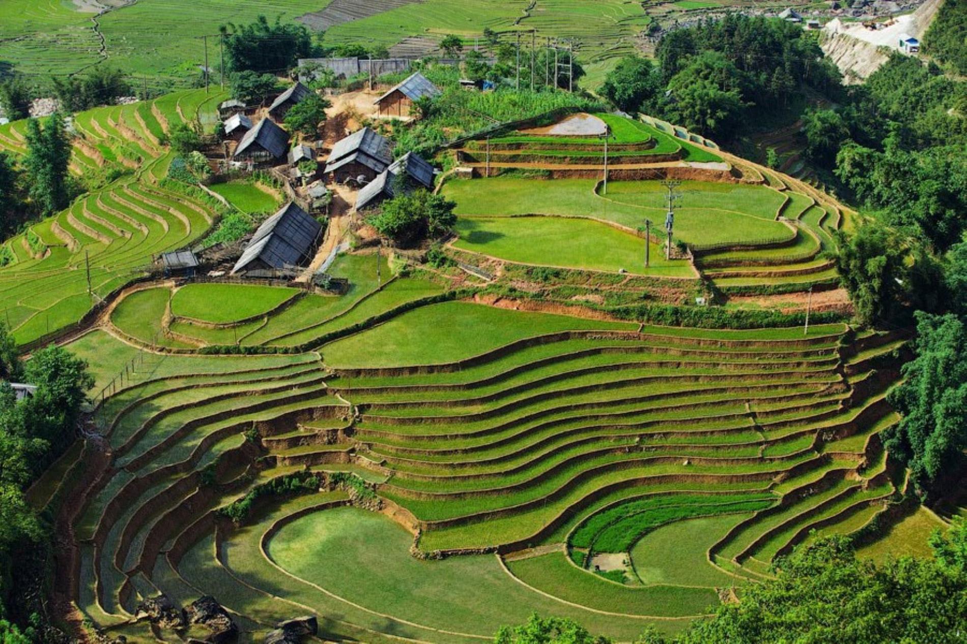 Y Linh Ho, Lao Chai - Ta Van Village Trekking Day Tour