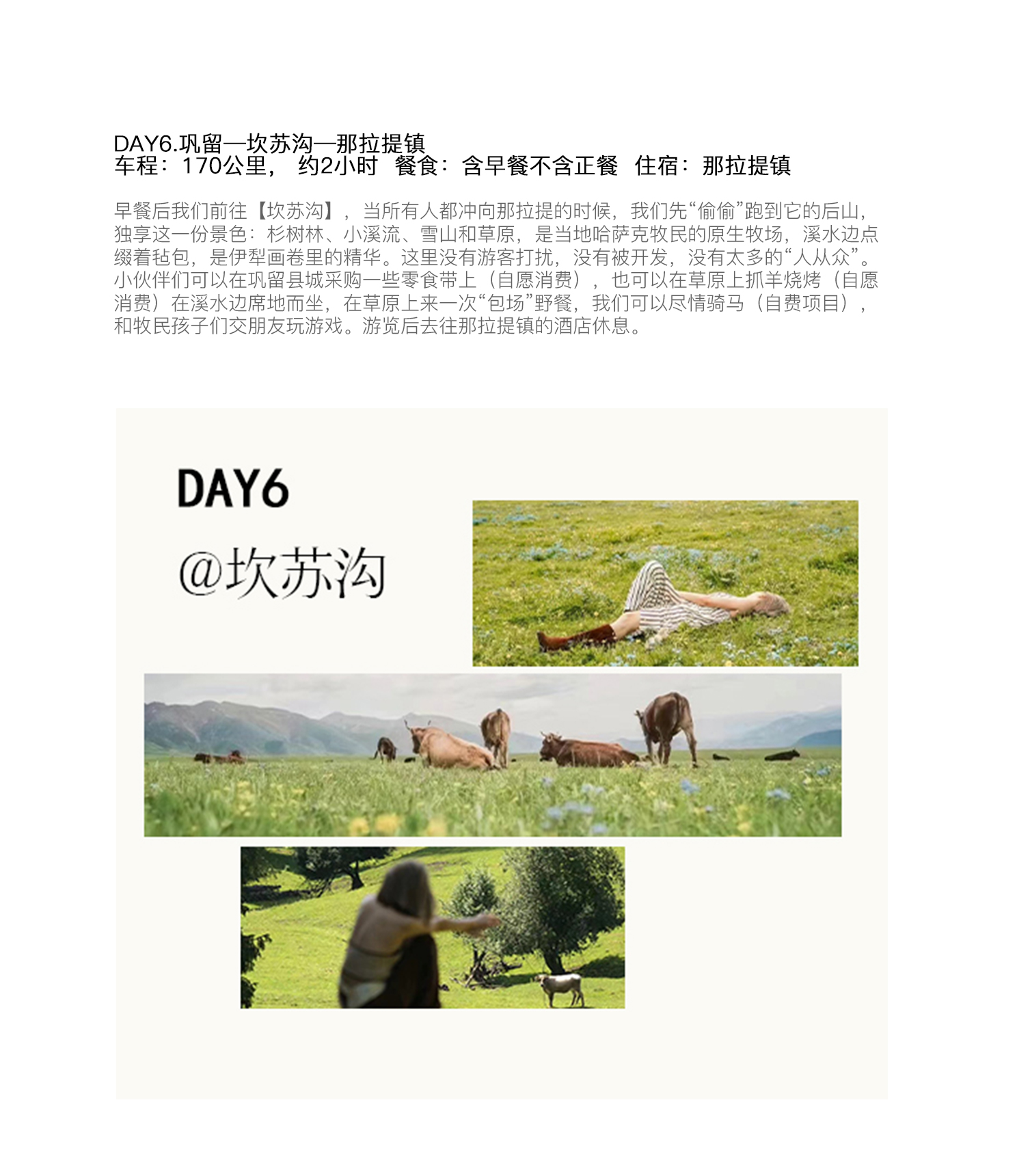 新疆伊犁縱貫天山五月版8日（全程旅拍攝影+全程坦克300出行+賽里木湖+安集海大峽谷+喀拉峻+恰西+那拉提+喀贊其+S101國防公路)