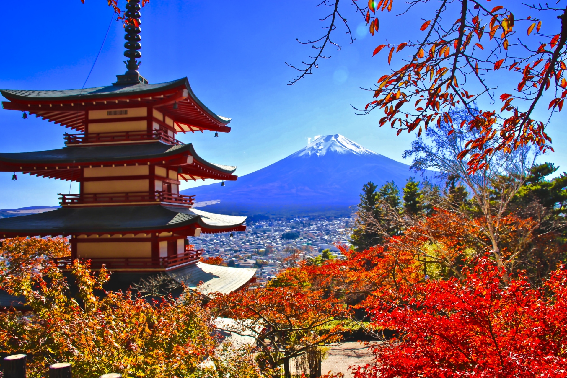 高級版富士山河口湖絕景一日遊！坐豪華巴士巡遊多個拍攝點，從不同角度欣賞令人震撼的富士山美景！包含神戶牛涮涮鍋（品川/新宿出發）