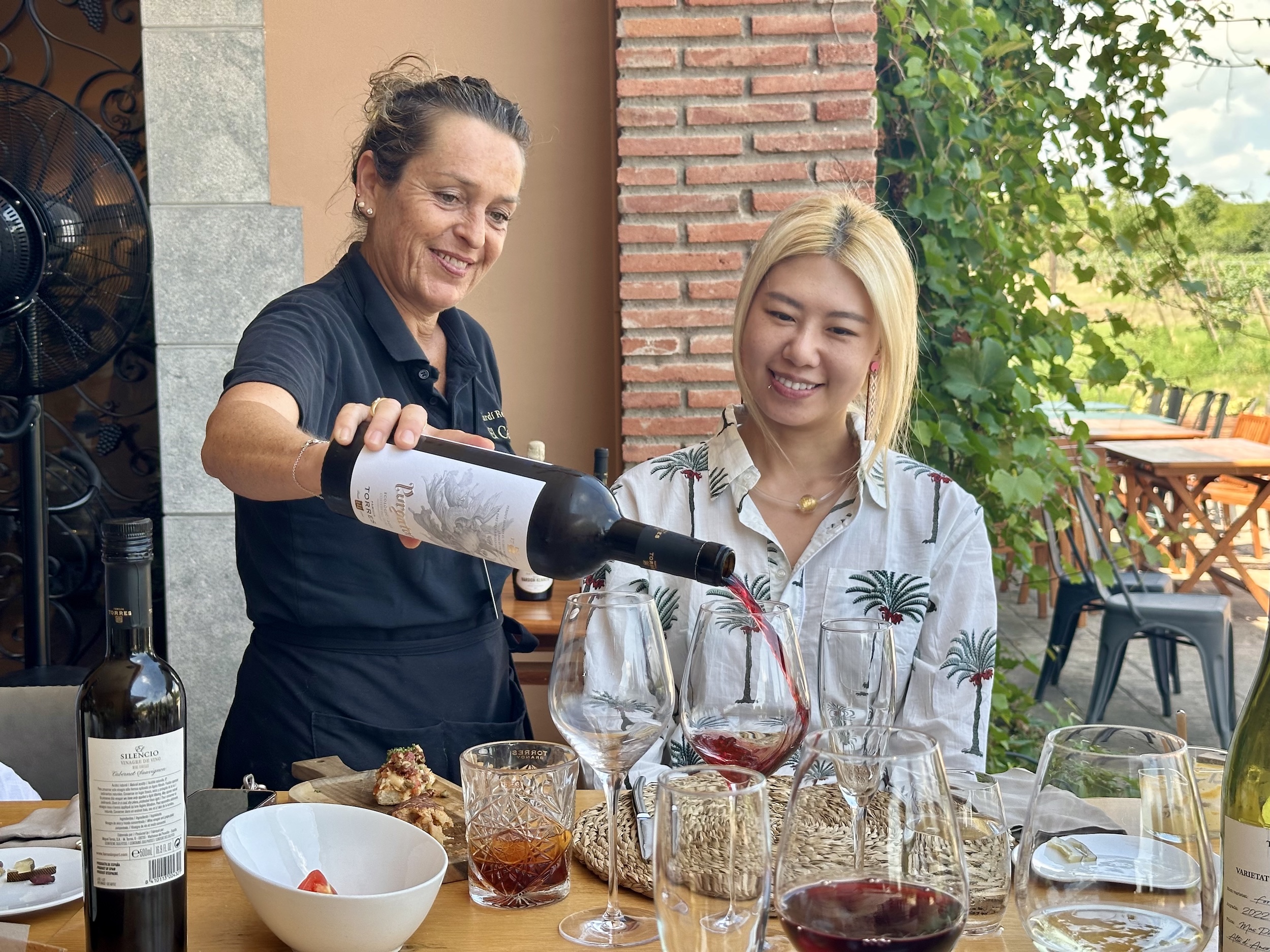 Полудневной тур по винодельне Torres в Барселоне для небольшой группы