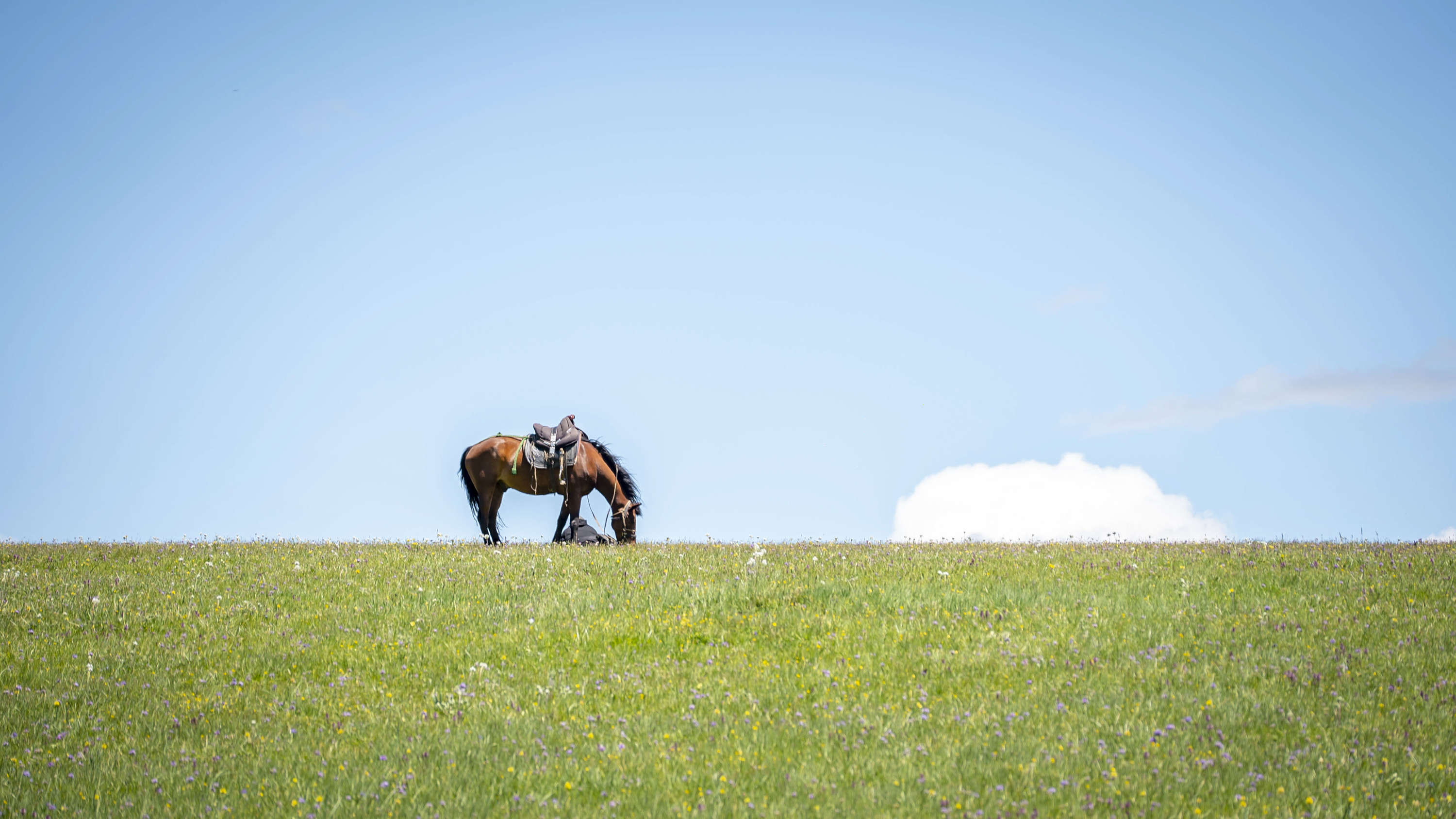 Northern Xinjiang Kanas + Ili Optional 7-9 Day Private Tour 