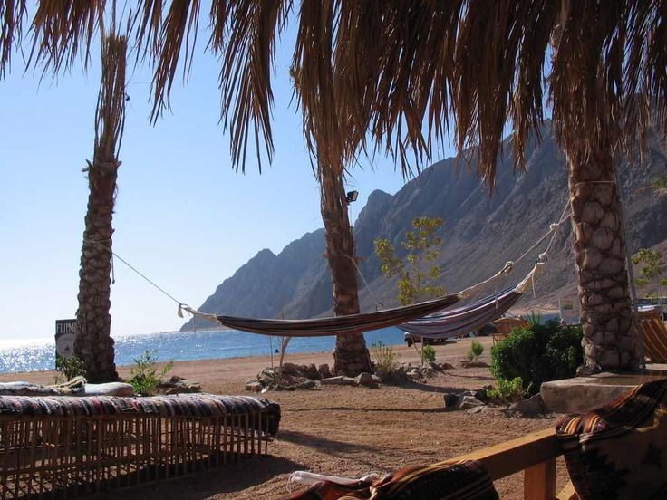 聖凱瑟琳修道院和達哈布一日遊（St. Catherine’s Monastery & Dahab in Sharm el Sheikh）