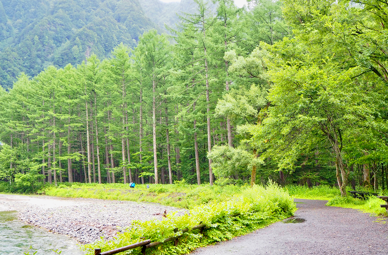 [One-day tour in Kamikochi from Nagoya] Encounter the scenery of Japan's "Jiuzhaigou", step on the Kappa Bridge, and overlook the mountains and the sacred pond