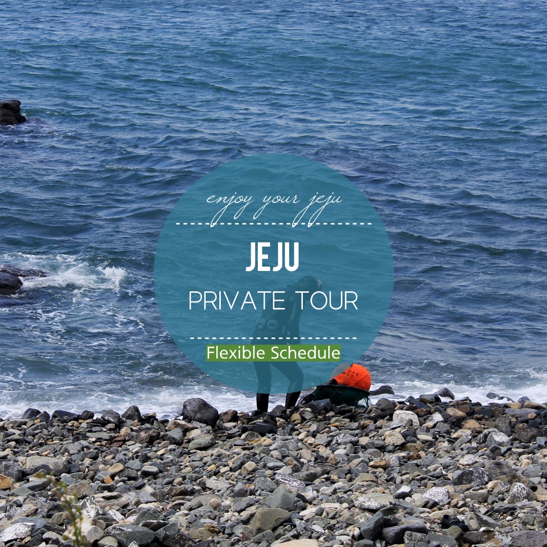 Jeju Island Private Car Tours with a Flexible Schedule