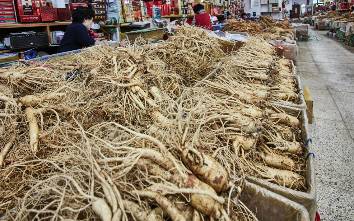 Wellness Day Tour for Departure: From Seoul to Incheon Airport Vietnamese Guide