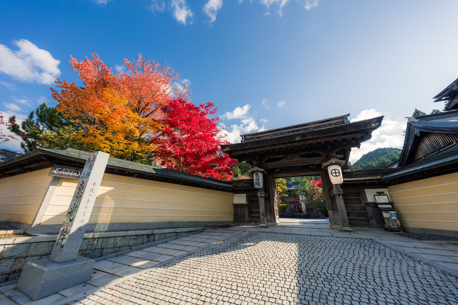 1日寺廟生活私人體驗