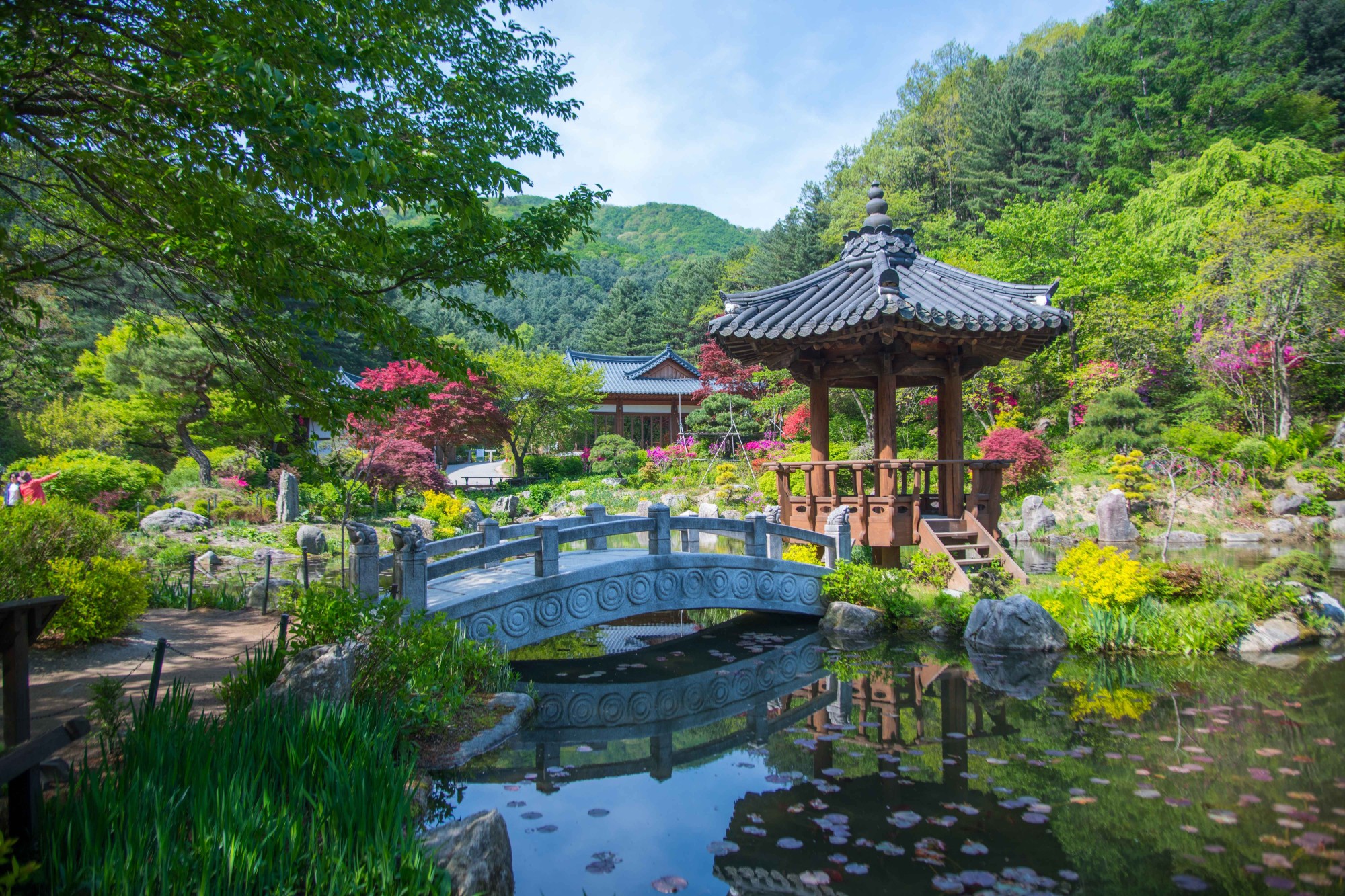 晨靜樹木園 + 樂高樂園或洪川雪橇世界