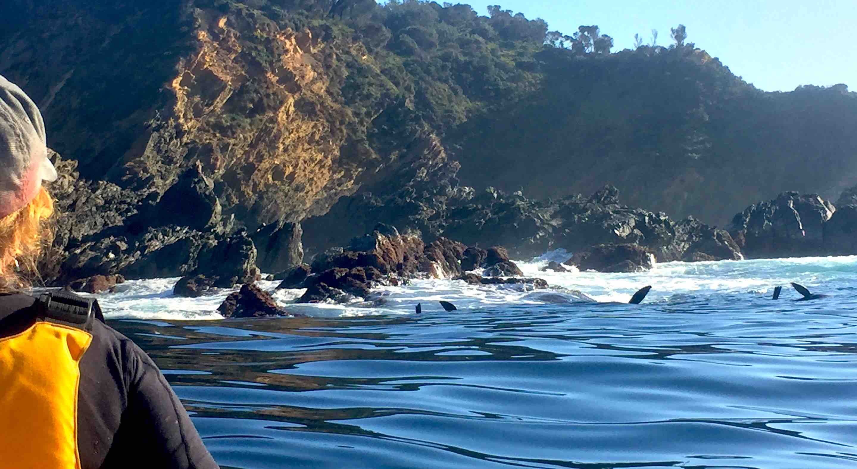 澳洲貝特曼斯灣海上獨木舟半日遊