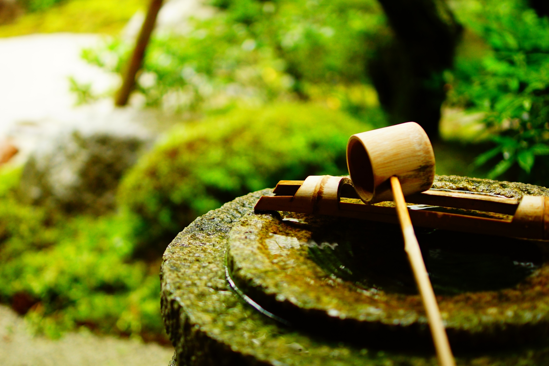 Kyoto: Immersive Arashiyama and Fushimi Inari by private vehicle