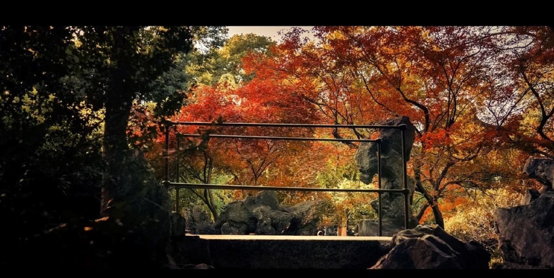 因園內“林有竹萬,竹下多怪石,狀如狻猊(獅子)者”,又因天如禪師惟則得法於浙江天目山獅子巖普應國師中峰,為紀念佛徒衣缽、師承關係,取佛經中獅子座之意,故名“師子林” 因園內“林有竹萬,竹下多怪石,狀如狻猊(獅子)者”,又因天如禪師惟則得法於浙江天目山獅子巖普應國師中峰,為紀念佛徒衣缽、師承關係,取佛經中獅子座之意,故名“師子林”