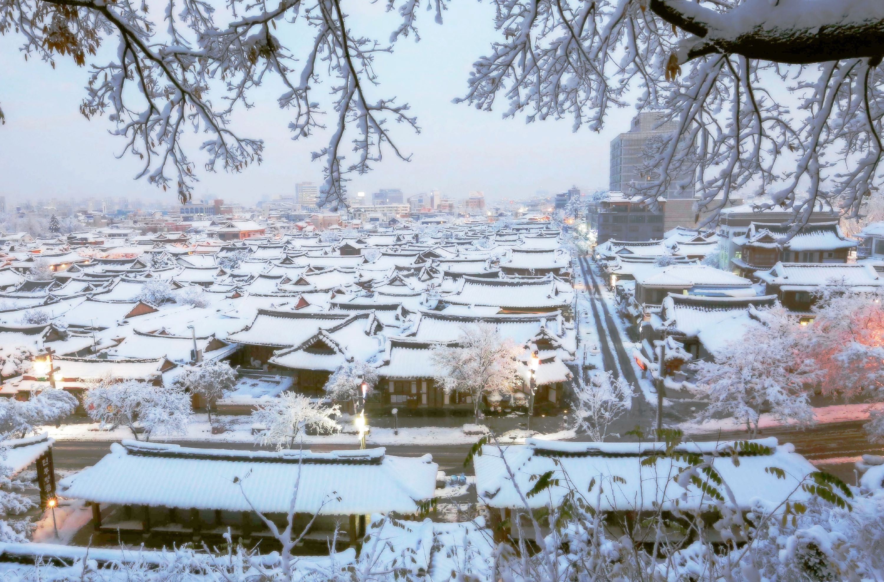 全州韓屋村＆季節性熱門景點一日遊