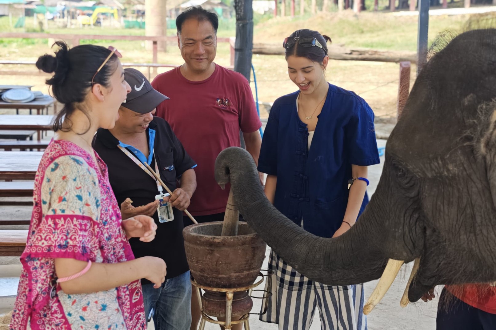 Tourists enjoying a close elephant feeding experience at Chokchai Elephant Camp, Chiang Mai. 3