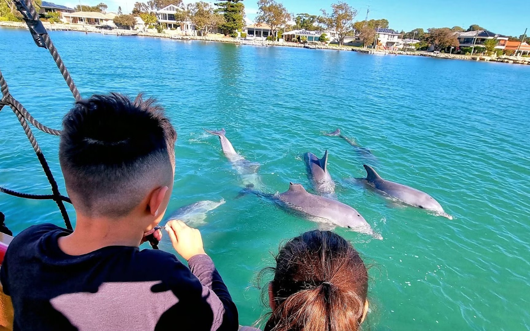 Perth Day Tour: Dolphin Cruise, Wildlife Park, and Swan Valley