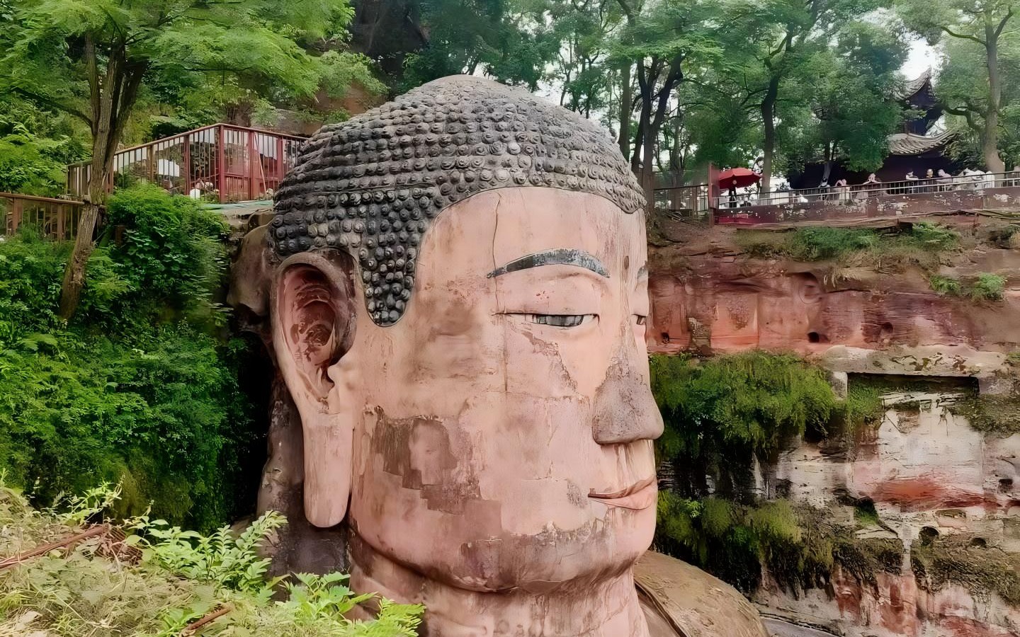 One-day tour of Leshan Giant Buddha in Sichuan, China