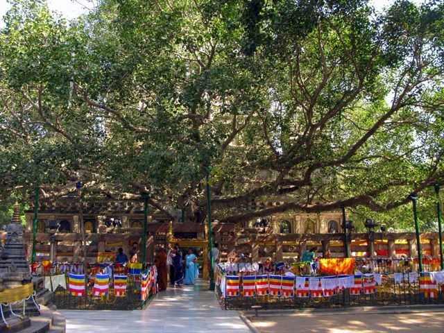 From Varanasi: Bodhgaya 2-Day Tour with Accommodation