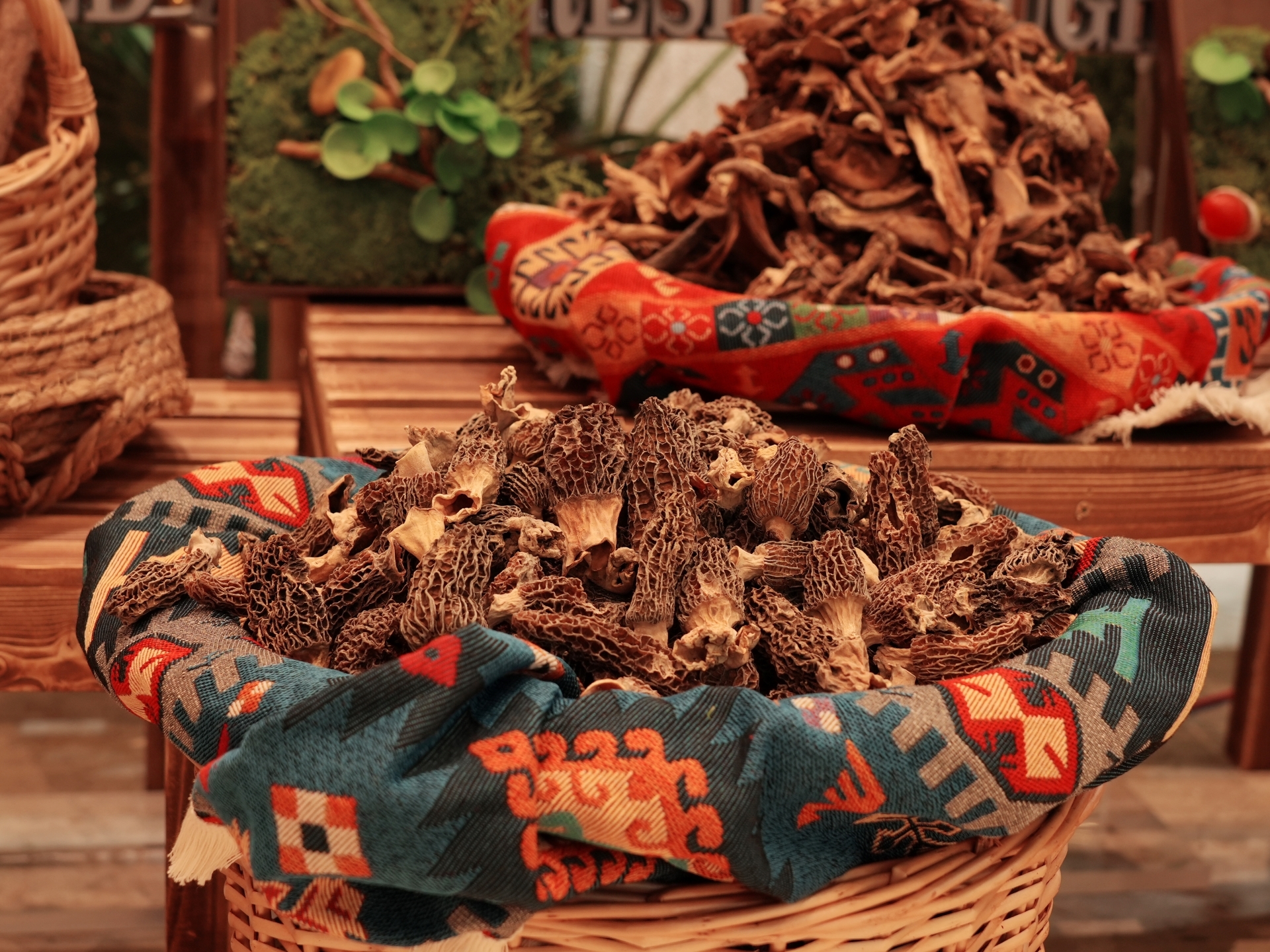 特色菜品 特色菜品